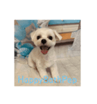 HappyBathPep（個別スタンプ：39）