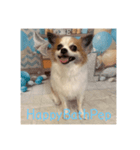 HappyBathPep（個別スタンプ：40）