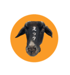 ももへい（個別スタンプ：2）