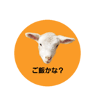 ももへい（個別スタンプ：5）