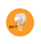 ももへい（個別スタンプ：7）