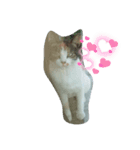 三毛ねこすず（個別スタンプ：4）