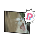 三毛ねこすず（個別スタンプ：5）