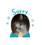 三毛ねこすず（個別スタンプ：6）