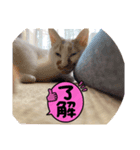 はじめてっぷ（個別スタンプ：2）