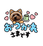 アメリカンコッカー＆キャバプー（個別スタンプ：17）