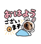 アメリカンコッカー＆キャバプー（個別スタンプ：18）