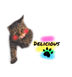 He's Mint the cat 2（個別スタンプ：11）