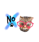 He's Mint the cat 2（個別スタンプ：14）