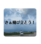 空を見よう！上を見よう！スタンプ（個別スタンプ：14）