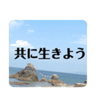 空を見よう！上を見よう！スタンプ（個別スタンプ：39）