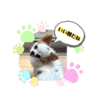 癒しの着ぐるみ犬（個別スタンプ：5）