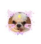 癒しの着ぐるみ犬（個別スタンプ：7）
