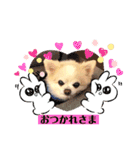 癒しの着ぐるみ犬（個別スタンプ：11）