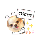 癒しの着ぐるみ犬（個別スタンプ：12）