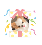 癒しの着ぐるみ犬（個別スタンプ：14）