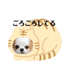 癒しの着ぐるみ犬（個別スタンプ：21）