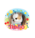 癒しの着ぐるみ犬（個別スタンプ：24）