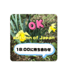 イエローは、スンヨンの色（個別スタンプ：3）