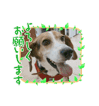 うしおの日常よく使うスタンプ②（個別スタンプ：6）