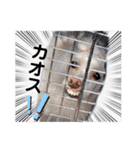 ひまはてわたおにちの大冒険 第3弾（個別スタンプ：16）