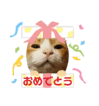 ごえこて盛り（個別スタンプ：2）