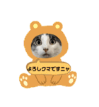 ごえこて盛り（個別スタンプ：5）