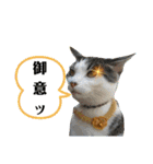 ごえこて盛り（個別スタンプ：7）