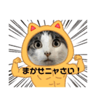 ごえこて盛り（個別スタンプ：8）