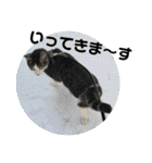 ごえこて盛り（個別スタンプ：10）