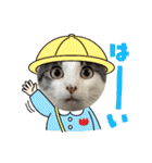 ごえこて盛り（個別スタンプ：12）