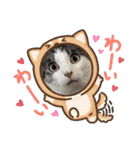 ごえこて盛り（個別スタンプ：14）