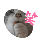 ごえこて盛り（個別スタンプ：15）