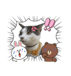 ごえこて盛り（個別スタンプ：23）
