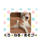 ごえこて盛り（個別スタンプ：25）