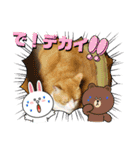 ごえこて盛り（個別スタンプ：26）
