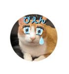 ごえこて盛り（個別スタンプ：27）