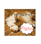 ごえこて盛り（個別スタンプ：31）