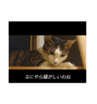ごえこて盛り（個別スタンプ：35）