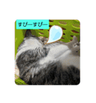 ごえこて盛り（個別スタンプ：38）