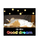 ごえこて盛り（個別スタンプ：39）