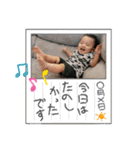 はくちゃんと愉快なわんこ達（個別スタンプ：5）