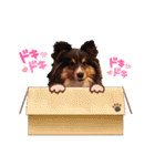 はくちゃんと愉快なわんこ達（個別スタンプ：28）