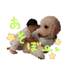 はくちゃんと愉快なわんこ達（個別スタンプ：35）
