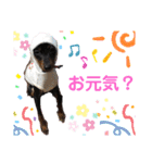 みにぴんライフ①（個別スタンプ：11）
