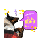 みにぴんライフ①（個別スタンプ：18）