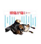 みにぴんライフ①（個別スタンプ：20）