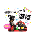 みにぴんライフ①（個別スタンプ：21）