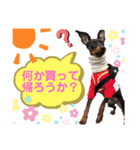 みにぴんライフ①（個別スタンプ：24）