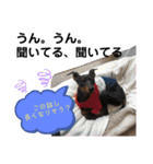 みにぴんライフ①（個別スタンプ：26）